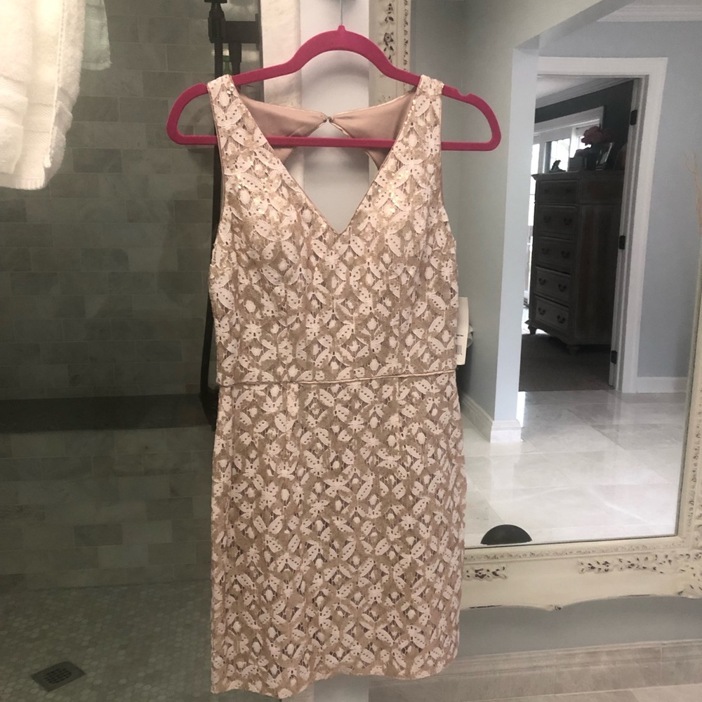 Hailey Adrianna Papell sequined lace dress size 2
